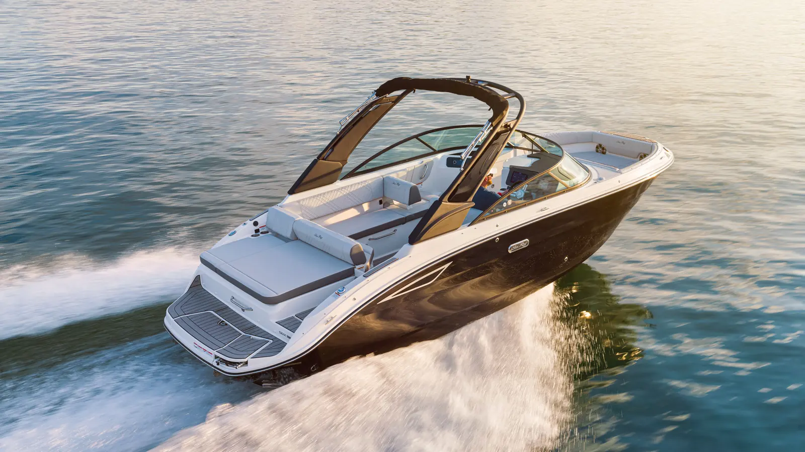 Sea Ray SDX 250 — фото 3