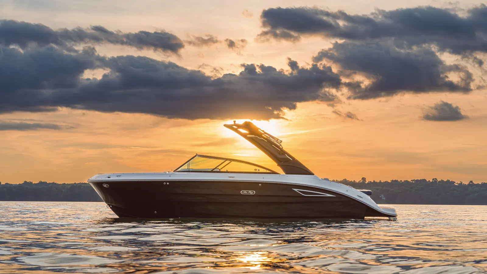 Sea Ray SDX 250 — фото 5