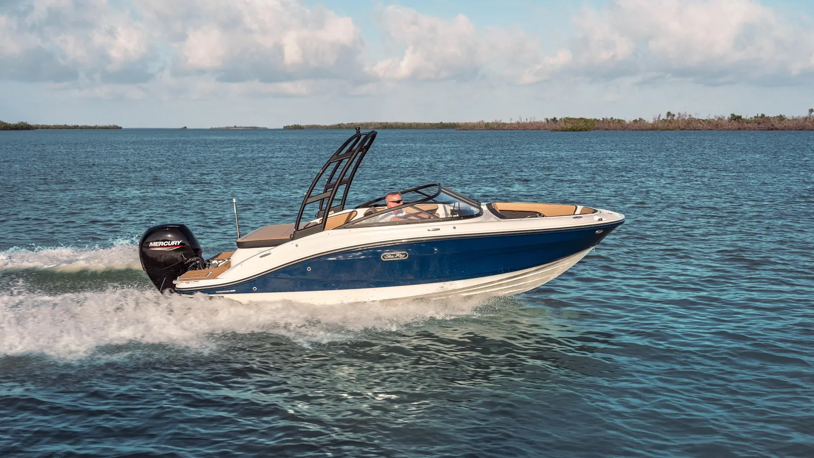 Sea Ray SPX 190 Outboard — фото 4
