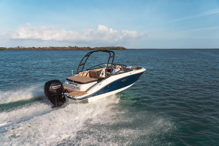 Sea Ray SPX 190 Outboard
