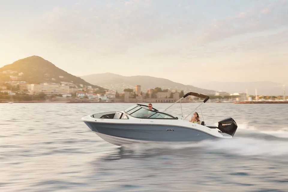 Sea Ray SPX 210 Outboard