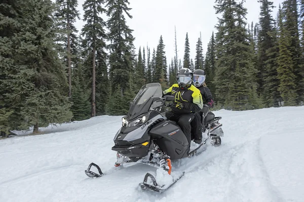 Снегоход Ski-Doo Expedition LE с пассажиром в зимнем лесу