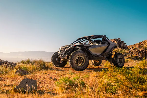 Багги Can-Am Maverick X3 X rc