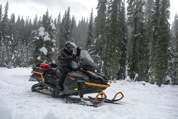 Снегоход Ski-Doo Skandic LE в зимнем лесу